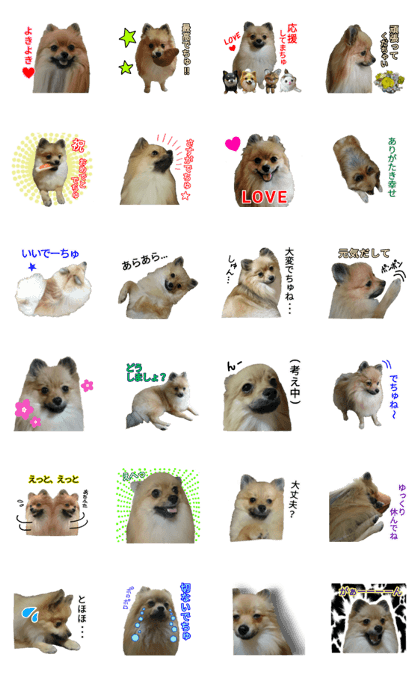 pome-tetunosuke #5 pome-tetunosuke #5