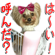 Rin-chyan sticker Rin-chyan sticker