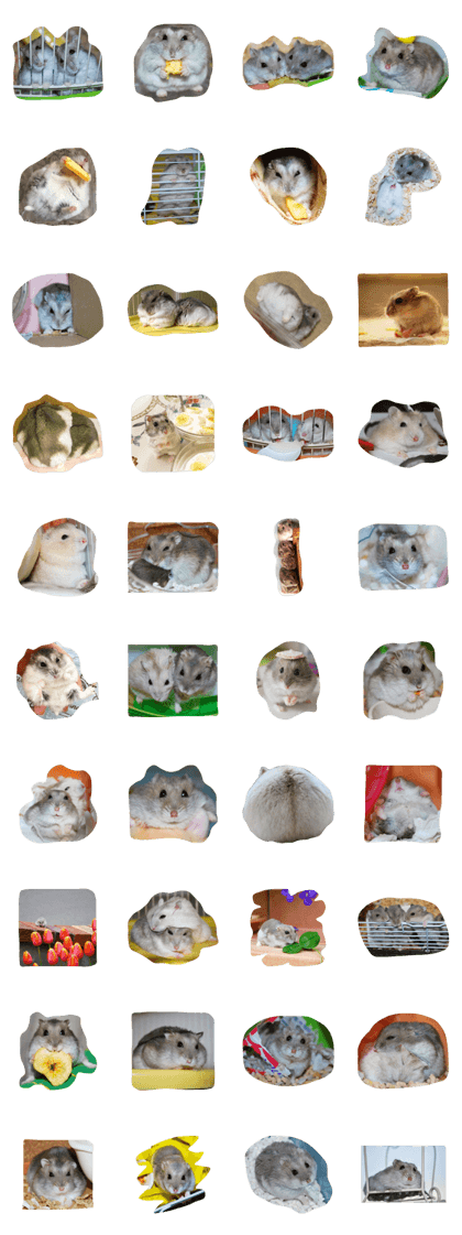 Hamsters will appeal to something Hamsters will appeal to something