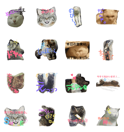 Shirasu and Mukkun Shirasu and Mukkun