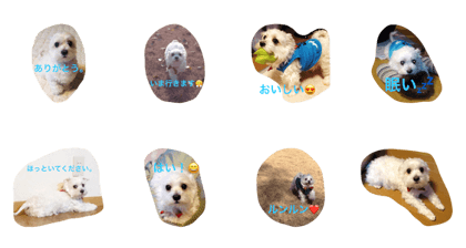 chukensaku chukensaku