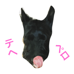 MY Scottie stamp