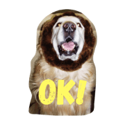 the stamp which is healed by john the stamp which is healed by john