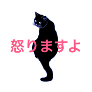 Probably it is a cat