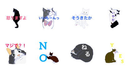 Probably it is a cat