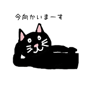 Everyday of cats