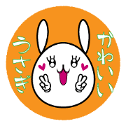 A white, round and pretty rabbit