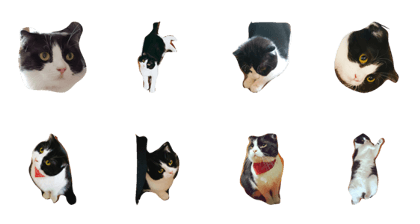 she name is anzu she name is anzu