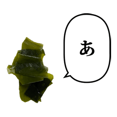 wakame seaweed 7