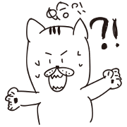 I love Pico I love Pico