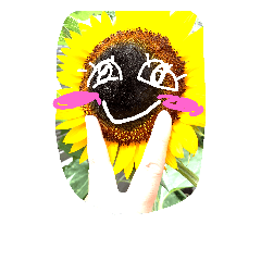 Sunflower feeling