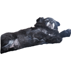 hiyori_20210526220349