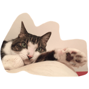 SASUKEcatK SASUKEcatK