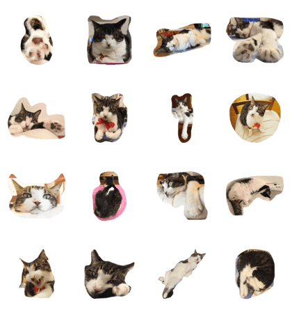 SASUKEcatK SASUKEcatK