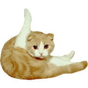 kotetsu san kotetsu san