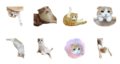 kotetsu san kotetsu san