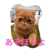 robby's every day robby's every day