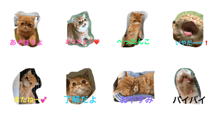 robby's every day robby's every day