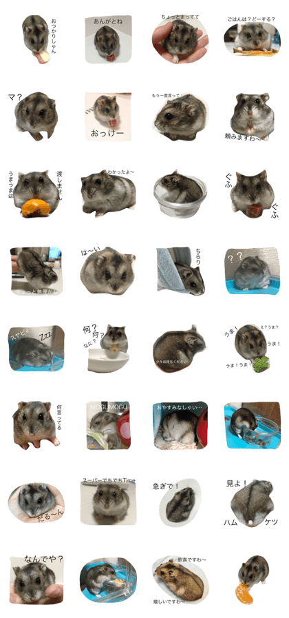 I am kodama. I am kodama.