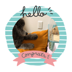 matsu_20210527210000