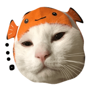 Protection cat Stamp Protection cat Stamp