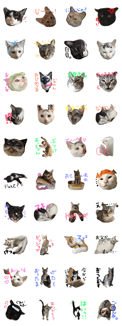 Protection cat Stamp Protection cat Stamp