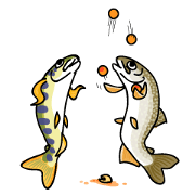 Freshwater Fish Freshwater Fish