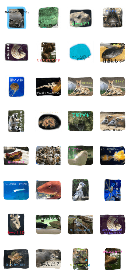 fish animal land fish animal land