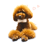 I LOVE COCO I LOVE COCO