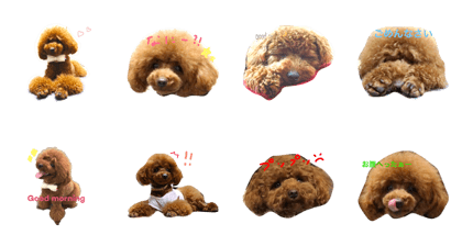 I LOVE COCO I LOVE COCO