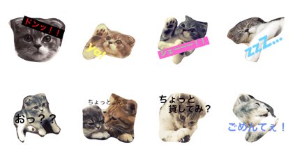 mion stamps1 mion stamps1