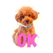 toypoo sticker toypoo sticker