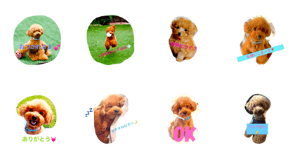 toypoo sticker toypoo sticker