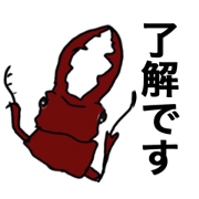 insects.japan insects.japan