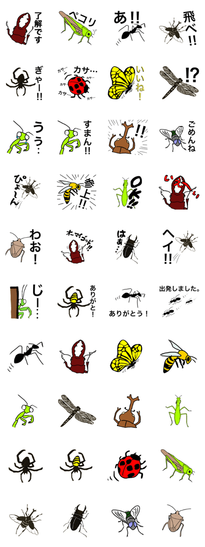 insects.japan insects.japan