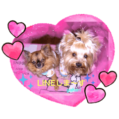 yukari_20210528033351