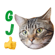 Rudolf the cat 2 Rudolf the cat 2