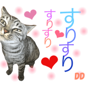 Cute cute cats of my home