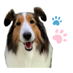 Nozomi_20210527171349