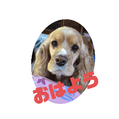 satoshi_20210527181902