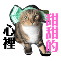 趴趴逼逼第一彈