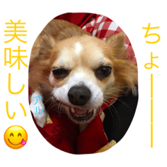 useful stanp(aruchan)