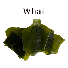 wakame seaweed 5 English