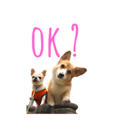 natsumi_20210527212436