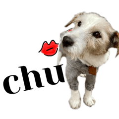 Nanami_20210528121927