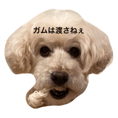 たからっぴ