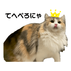 momoko_20210527224941