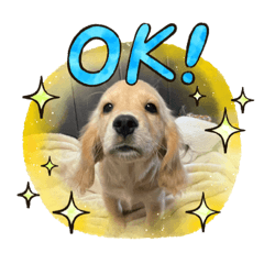 orange_20210527230404