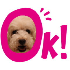 dog sticker！