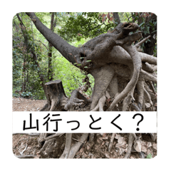 saya_20210528003926